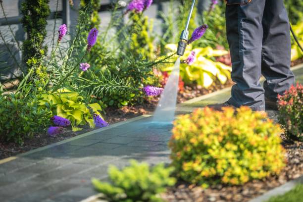 Best Pool Deck Cleaning  in Olive Hill, KY