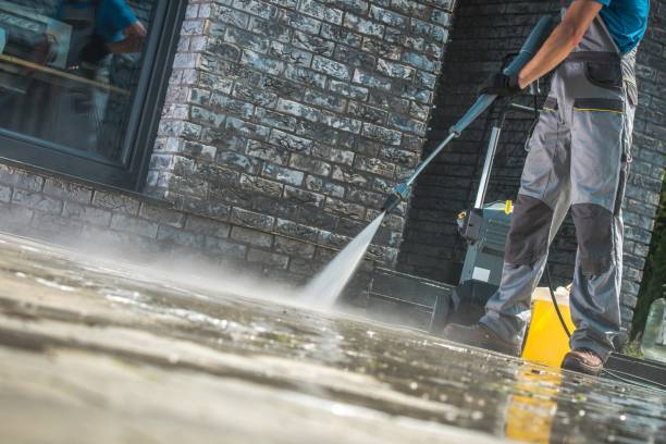 Best Winterizing Services  in Olive Hill, KY
