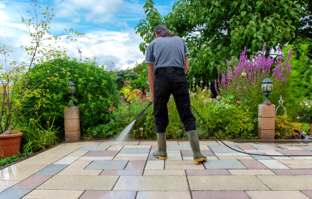 Best Sidewalk and Walkway Cleaning  in Olive Hill, KY